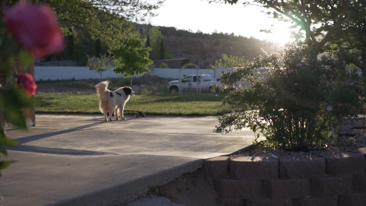 Zion'S Blue Sage Bed & Breakfast Hildale Esterno foto